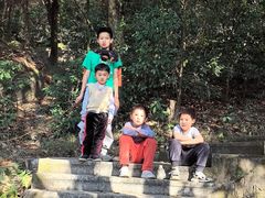 -火炉山森林公园