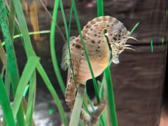 -沈阳海洋探索中心