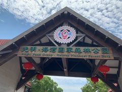 -上海海湾国家森林公园