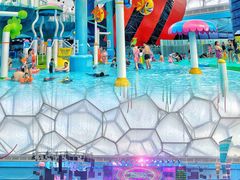-水立方嬉水乐园