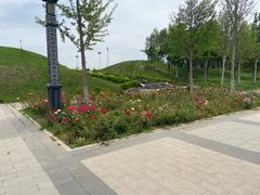 -瀛海足球主题公园