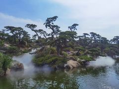 -罗红摄影艺术馆