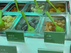 -Salud撒露欧洲冻酸奶(五道口购物中心店)