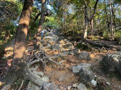 -梧桐山风景名胜区