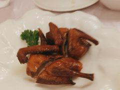 沙田乳鸽-宝燕壹号(徐汇店)