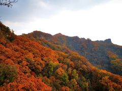 -天女山森林公园
