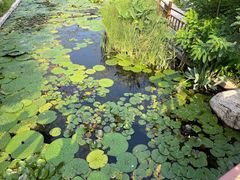 -燕郊植物园