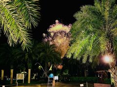 -惠州金海湾嘉华度假酒店