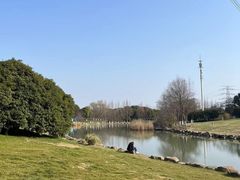 -九里河湿地公园