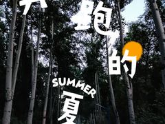 -森林公园(尖草坪区)