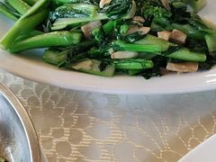 -大树头森林餐厅(番禺广场店)