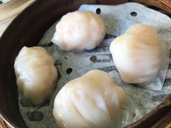 虾饺-添好运点心专门店(北角店)