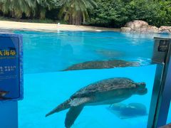 -珠海长隆海洋王国