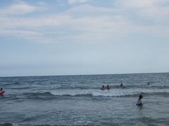 -东来菜馆•手抓海鲜家常菜•海鲜锅贴(鸽子窝店)