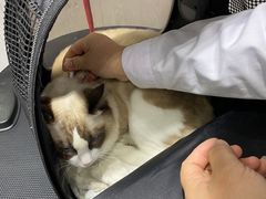 -宠颐生动物医院·小陆分院
