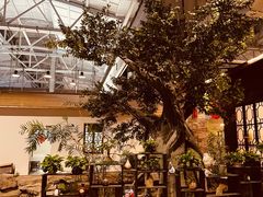 -森谷美食公园(杨行店)