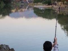 -福建土楼（南靖）云水谣景区-和贵楼