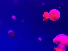 -波塞冬旅游度假区