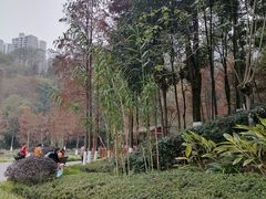 -重庆彩云湖湿地公园