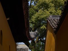 -西园戒幢律寺