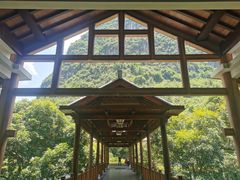 -广悦华阳朔河畔度假酒店(十里画廊遇龙河店)