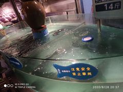 -坛宗剁椒鱼头(河西王府井店)