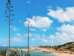 -长江澳风力发电景观区