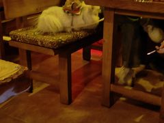 -Helens海伦司小酒馆(王家湾人信汇店)