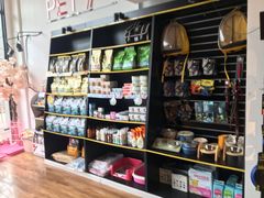 -西元前宠物酒店(郑庄府邸店)