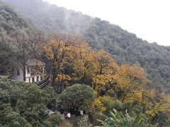 -韬光茶庵