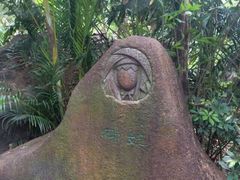 -呀诺达热带雨林