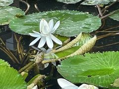 -晓港公园