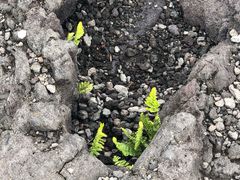 -夏威夷火山国家公园