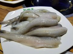 九肚鱼-蒙肥羊·酸汤潮牛·鲜牛肉火锅烤肉自助(岗顶店)