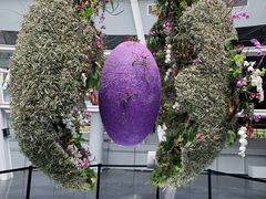 -深圳国际园林花卉博览园