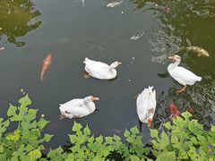 -苏州碑刻博物馆