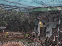-九龙公园