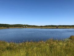 -塞罕坝国家级自然保护区