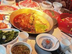 -小龙翻大江文化火锅(宽窄店)