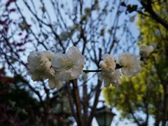 -乌山风景区