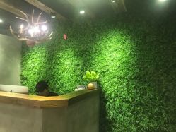 -V-STAR威斯达•高级私人定制