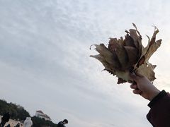 -青岛第三海水浴场