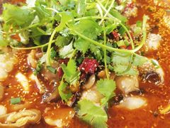 -川囧肥肠鸡·美蛙鱼锅(平高广场店)