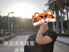 -奥林匹克体育中心游泳馆