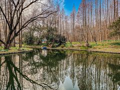 -上海共青森林公园