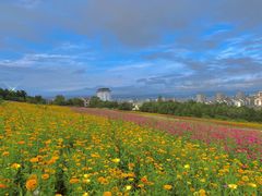 -帽儿山国家森林公园