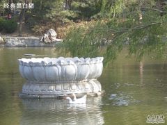 -紫竹院公园冰场