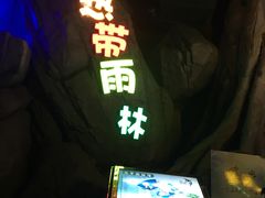 -临沂极地海洋王国