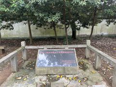 -上海佘山国家森林公园天马山园