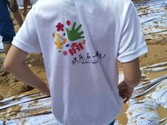 -光明小镇欢乐田园